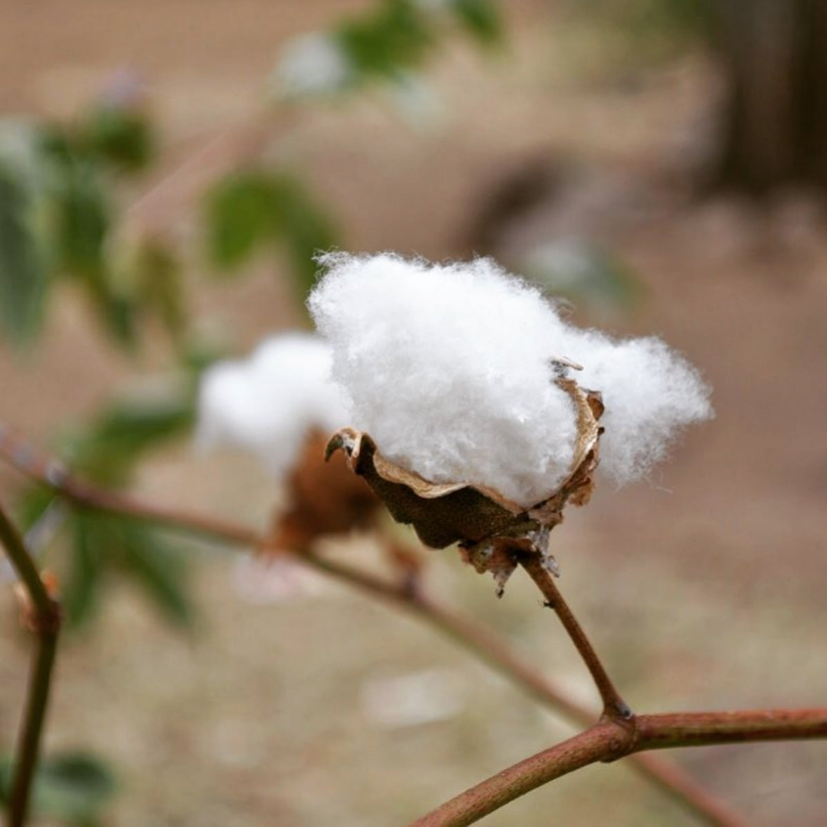 Tihku Towel Collection | All White - Hand Woven